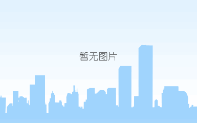 威力牌气动工具ds-d1(h5) 民用型气动风批